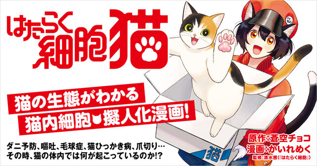 はたらく血小板ちゃん（4）』（ヤス,柿原 優子,清水 茜）｜講談社