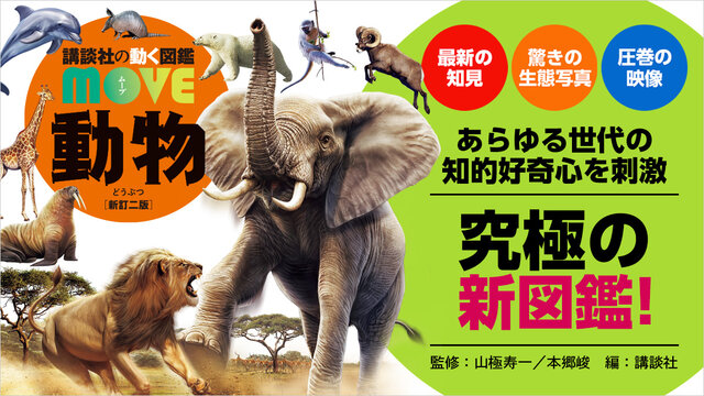 動物』（講談社,山極 寿一）｜講談社