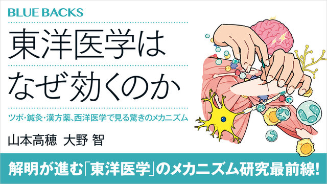 東洋医学はなぜ効くのか ツボ・鍼灸・漢方薬、西洋医学で見る