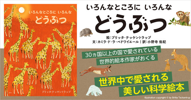 小さな科学者シリーズ　11冊セット　科学の絵本 新訂版 小学生になったら図鑑｜単行本｜知育｜本を探す｜ポプラ社