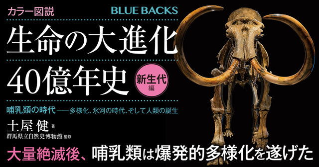 哺乳類の進化 (Natural History) 哺乳類の進化 (Natural History) | 遠藤 秀紀 |本 | 通販 | Amazon