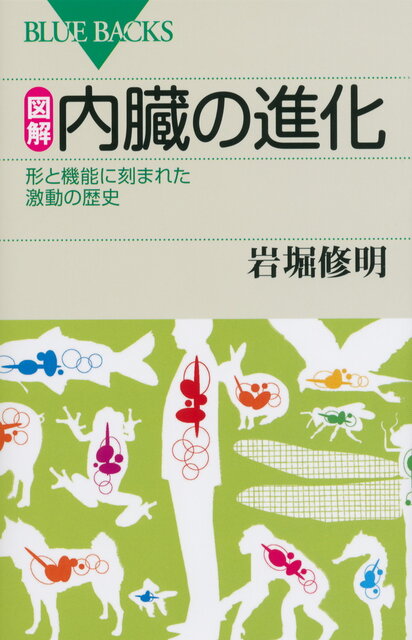 図解・内臓の進化』（岩堀 修明）｜講談社