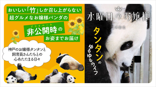 おいしい竹しか召し上がらないお嬢様パンダ「タンタン」のかわいすぎる