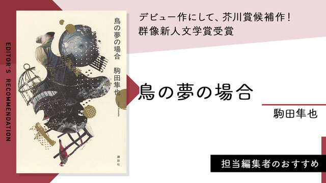 ☆講談社☆懸賞☆夏の読書運、大吉☆当選商品☆ ☆講談社☆懸賞☆夏の読書運、大吉☆当選商品☆ 講談社文庫