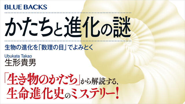 全初版set氷川透 新書6冊 真っ黒な夜明け/最後から二番めの真実/密室ロジック 書籍 | 講談社